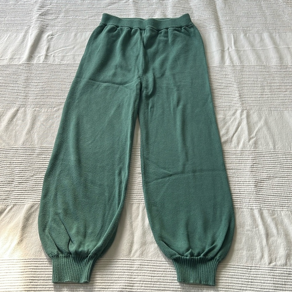 Misha and Puff Adult Jogger in Spruce Tea color. VG used condition